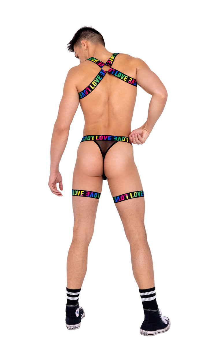 Pride Harness with Chain & Ring Detail Men's Costume