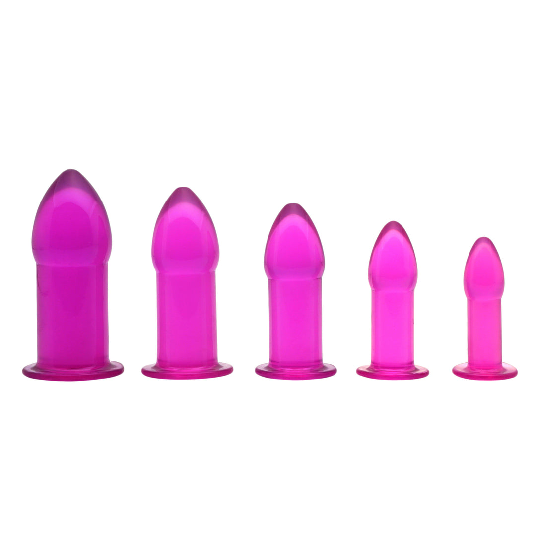 5 Piece Anal Trainer Set - Purple - AC946 - UPC-848518004826