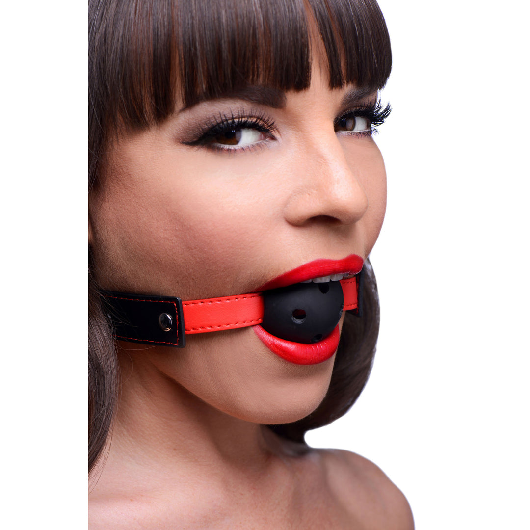 Subdue Me Breathable Ball Gag - AE279 - UPC-848518017840