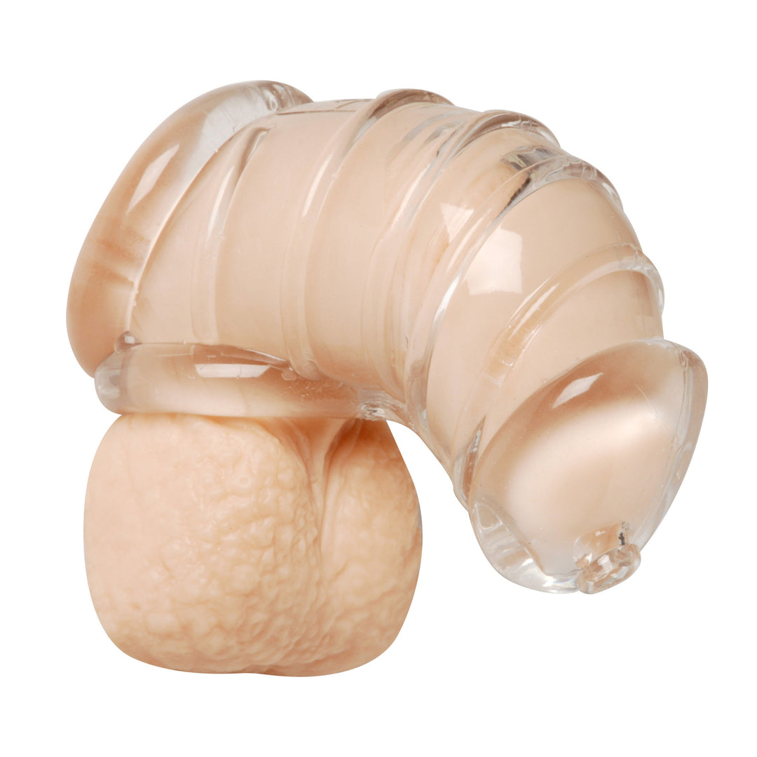 Detained Soft Body Chastity Cage - AE408 - UPC-848518018977