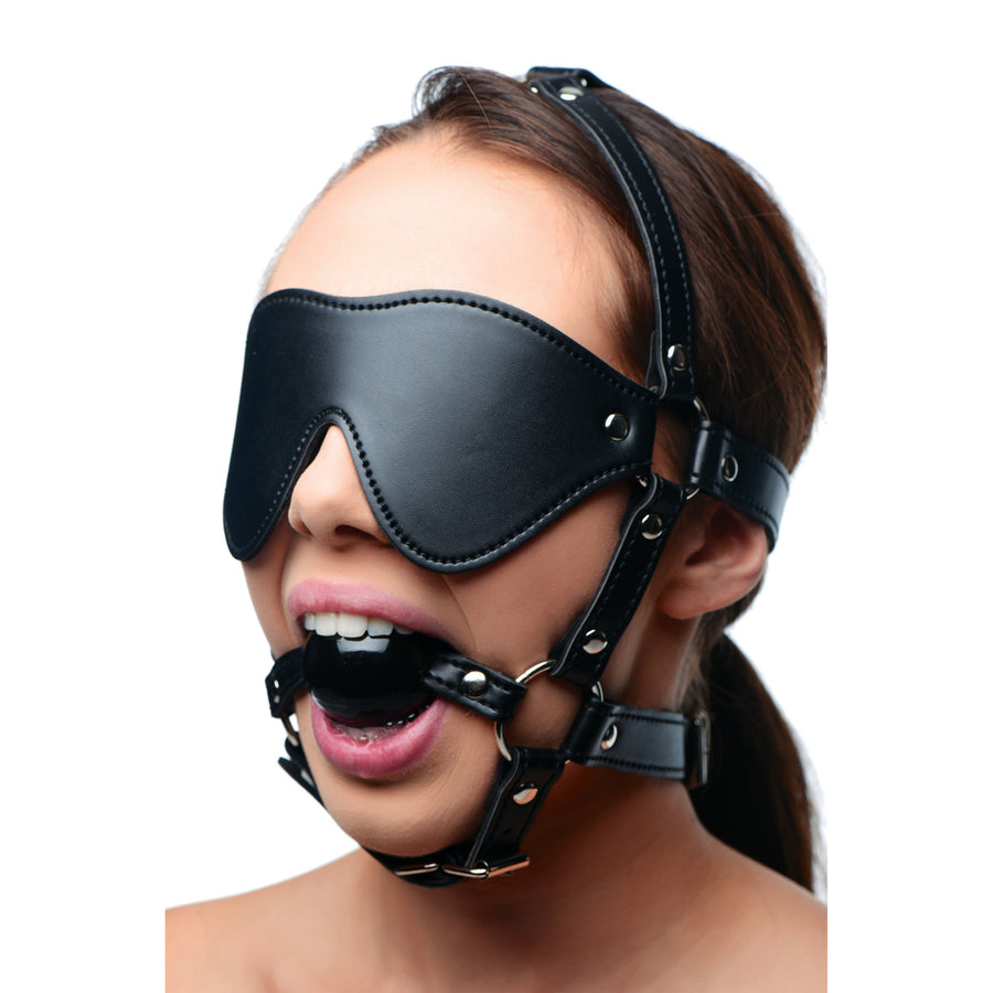 Blindfold Harness and Black Ball Gag - AE909 - UPC-848518024121