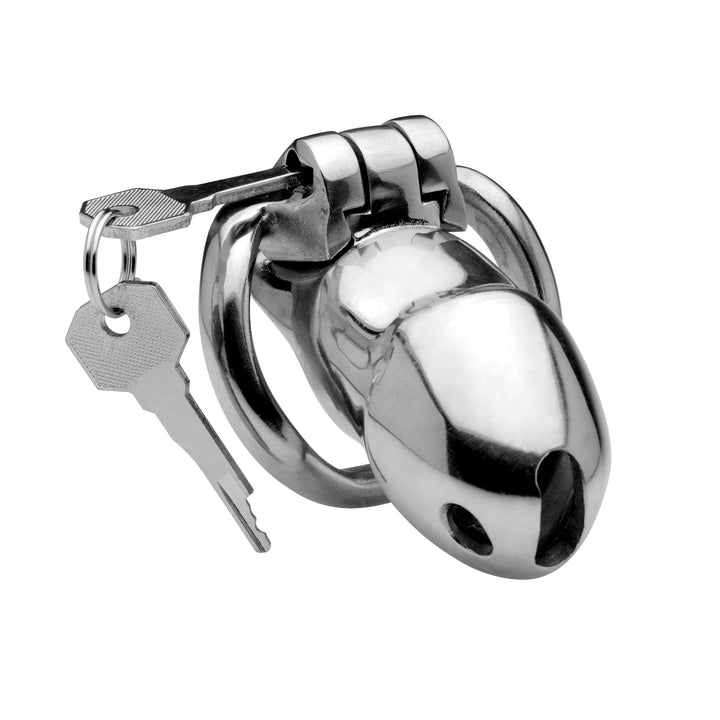 Rikers 24-7 Stainless Steel Locking Chastity Cage - AF441 - UPC-848518027979