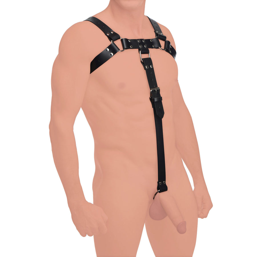 English Bull Dog Harness with Cock Strap - AF636 - UPC-848518029942