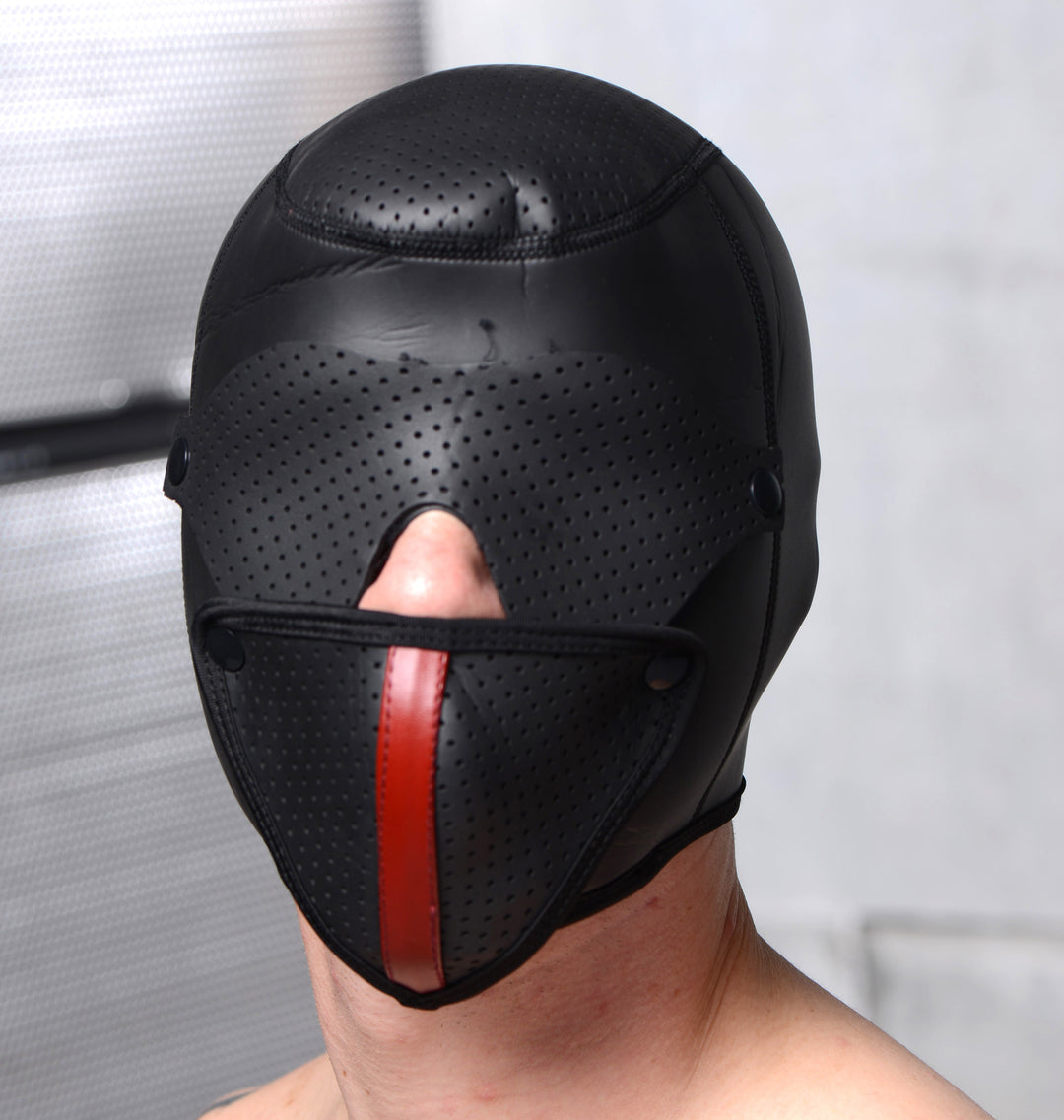 Scorpion Hood With Removable Blindfold and Face Mask - AG408 - UPC-848518036841