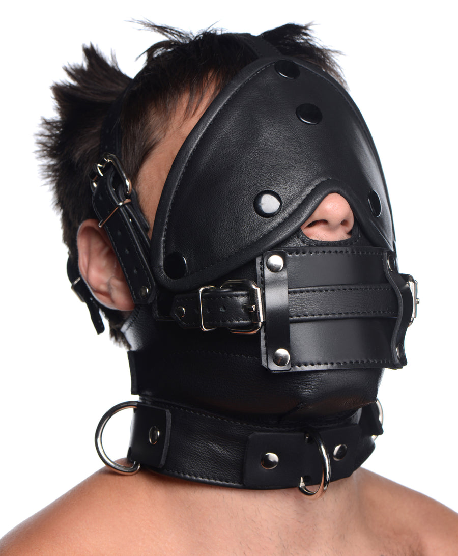 Leather Head Harness with Removeable Gag - AG670 - UPC-848518042705