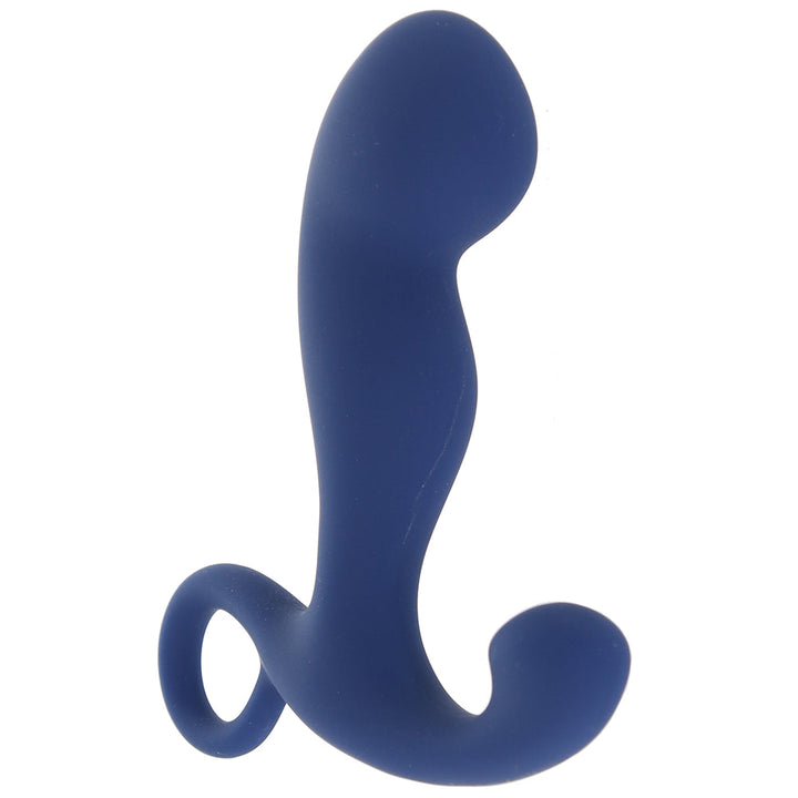 Viceroy Rechargeable Command Anal Probe