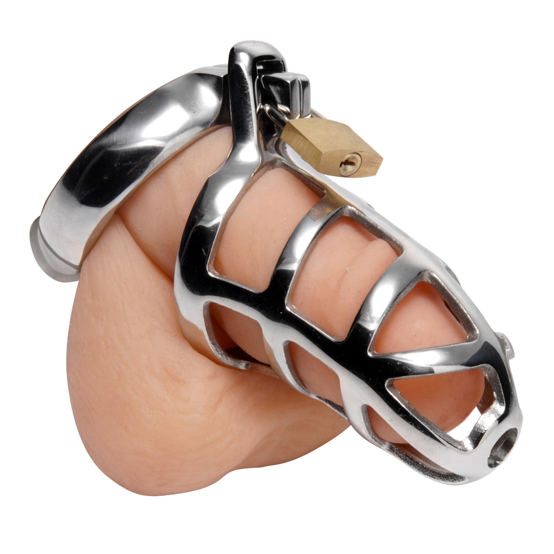 Detained Stainless Steel Chastity Cage - SL101 - UPC-811847017409