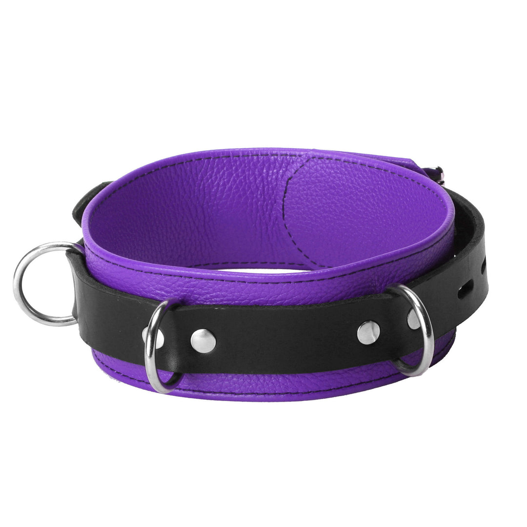 Strict Leather Deluxe Locking Collar - Purple and Black - SL212 - UPC-811847012435