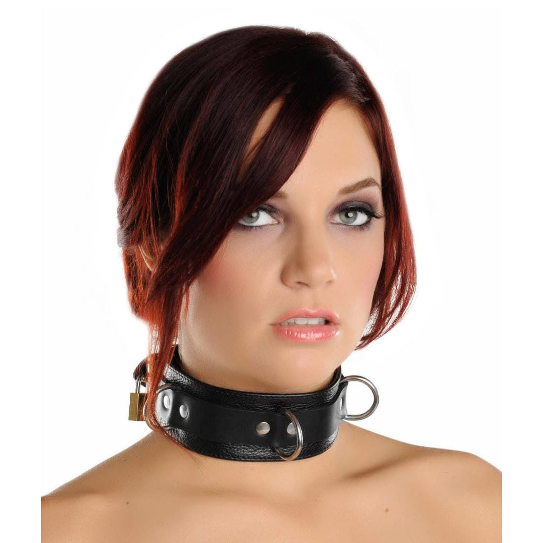 Strict Leather Deluxe Locking Collar - SV520 - UPC-848518002044